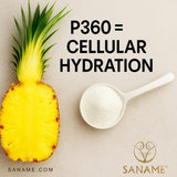 NEW FLAVOUR - P360® Tropic Pine Multi-Collagen Water