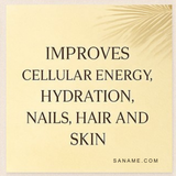 NEW FLAVOUR - P360® Tropic Pine Multi-Collagen Water