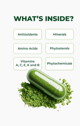 SANAME - Moringa Leaf Powder Capsules for Lush Skin, Hair, Nails, Lashes & Body