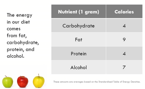 Understanding DAILY ENERGY REQUIREMENTS, Calories per Nutrient etc