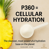 PRE-ORDER - P360™ Tropic Pine Multi-Collagen Water