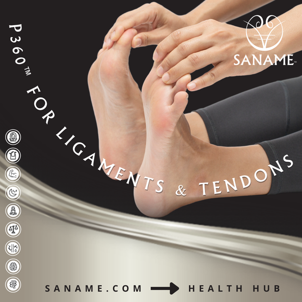 P360™ Multi-Collagens & Bone Broths for Ligaments & Tendons