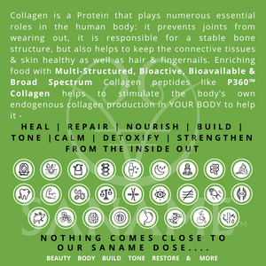 ONE OF EVERYTHING - 25 x Variety P360™ Multi-Collagen Brews & Bone Broths