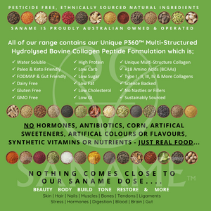 CHEF MATES - 10x24g Pantry Pack - P360™ Multi-Collagen Bone Broths Variety Pack