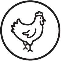 GRASS-FED, PASTURE RAISED  & FREE-RANGE