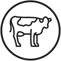 HIGH PROTEIN & LOW CARB