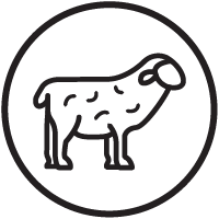 NO.1 MULTI-STRUCTURED COLLAGENS & BONE BROTHS