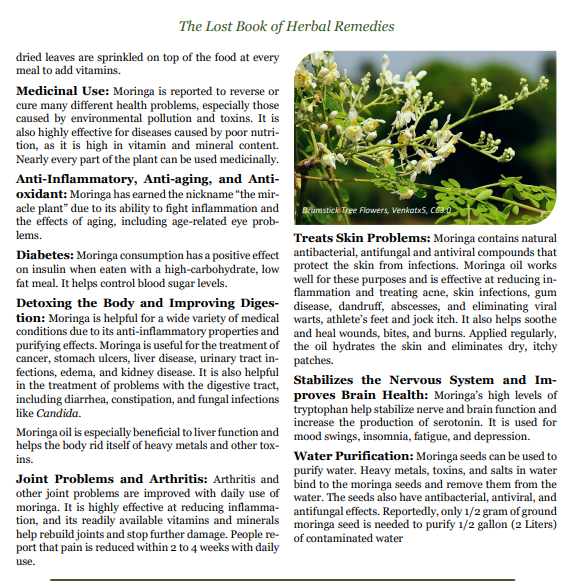 SANAME  - 100% Organic Moringa Skin, Hair, Nail, Lash & Body Oil