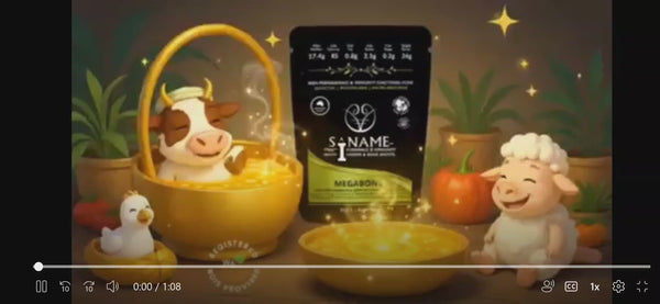 P360™ MEGABONE - World's First & Best - Multi-Collagen infused Chicken, Beef & Lamb Bone Broth