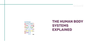 THE HUMAN BODY SYSTEMS Explained by@Outfy